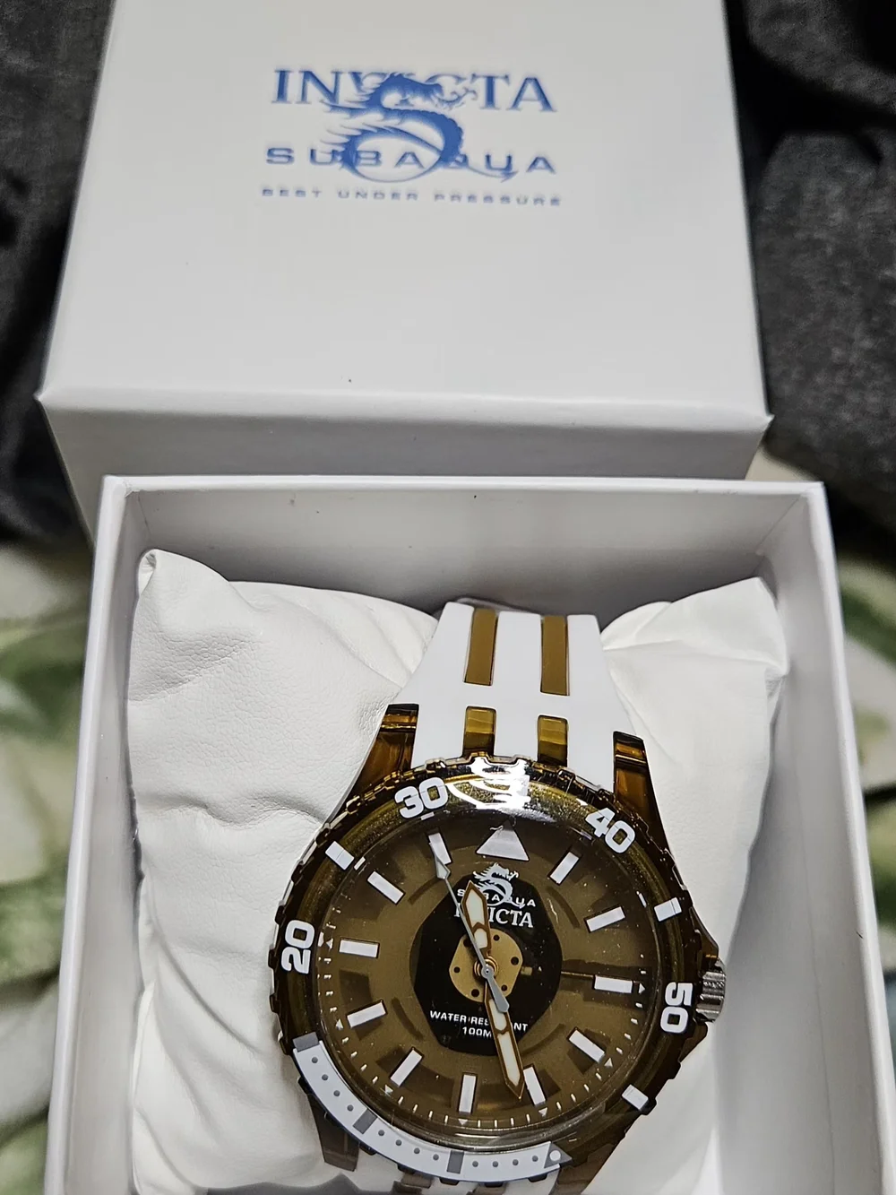 Invicta Subaqua Brown and White Transparent Dive-Style Watch
